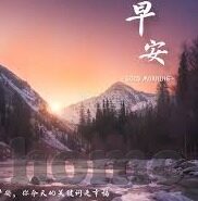大象传媒站长工具-探索大象传媒站长工具的全面功能与优势